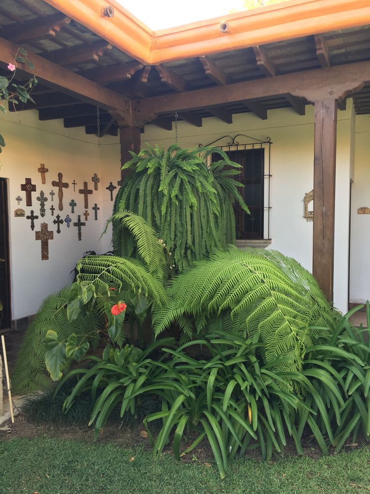 Hotel Las Marias Antigua Zewnętrze zdjęcie