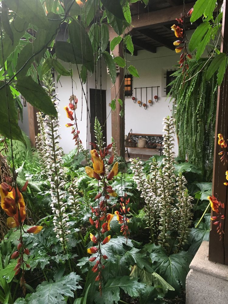 Hotel Las Marias Antigua Zewnętrze zdjęcie